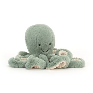 Little Odyssey Octopus