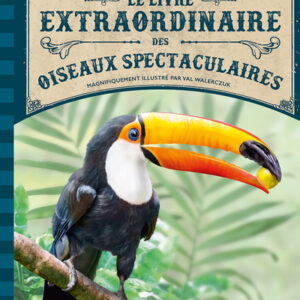 livre extraordinaire des oiseaux spectaculaires - librairie Gribouille