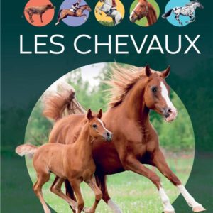 LES CHEVAUX