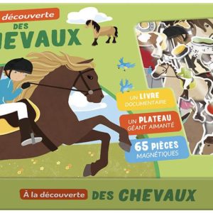 A LA DECOUVERTE DES CHEVAUX.