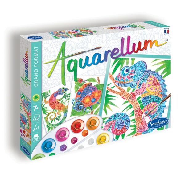 aquarellum: zentangle - librairie Gribouille