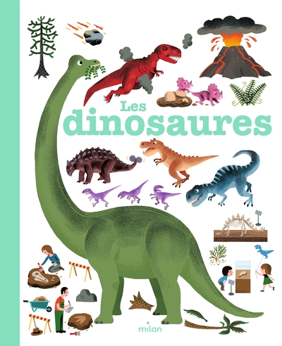 livre: les dinosaures - librairie Gribouille