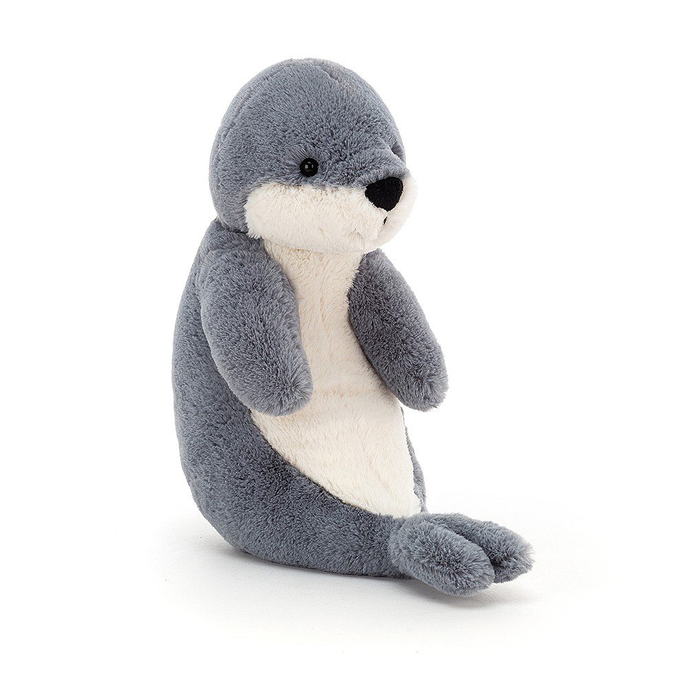 medium bashful seal