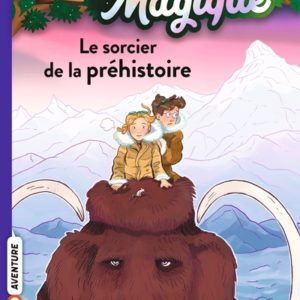 cabane magique T06