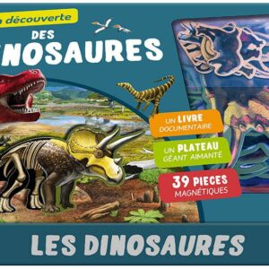 coffret aimants: dinosaures - librairie Gribouille