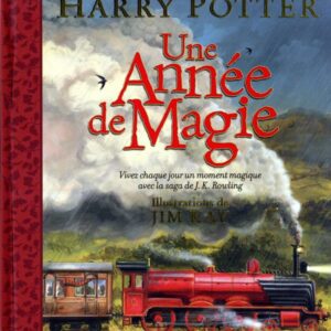 livre: Harry Potter, une année de magie - librairie Gribouille