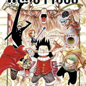 ONE PIECE - EDITION ORIGINALE - TOME 43 - LA LEGENDE DU HEROS