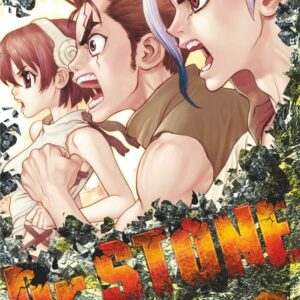 DR. STONE - TOME 02 - LES DEUX NATIONS DU MONDE DE PIERRE.