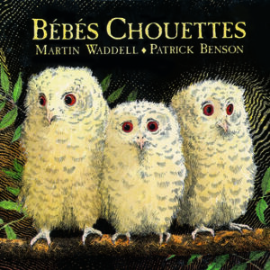 bébés chouettes