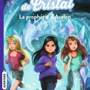 la cité de cristal T05