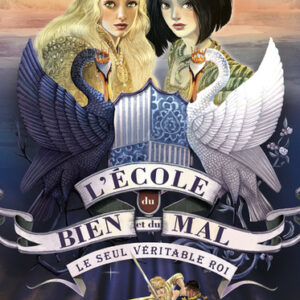 l'école du bien et du mal T06