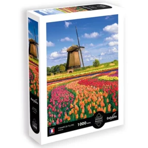 puzzle 1000p. champs de tulipes