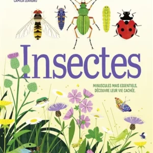 insectes