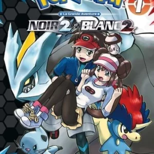 POKEMON NOIR2 BLANC2