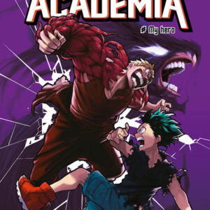 HERO ACADEMIA 9