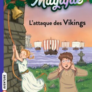 L ATTAQUE DES VIKINGS