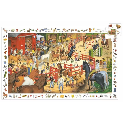 PUZZLE OBSERVATION: EQUITATION