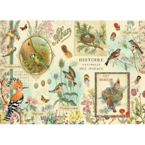 PUZZLE 1000PCS GWENAELLE TROLEZ OISEAUX