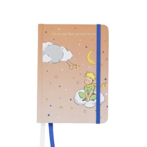 CARNET A6 LE PETIT PRINCE DEGRADE