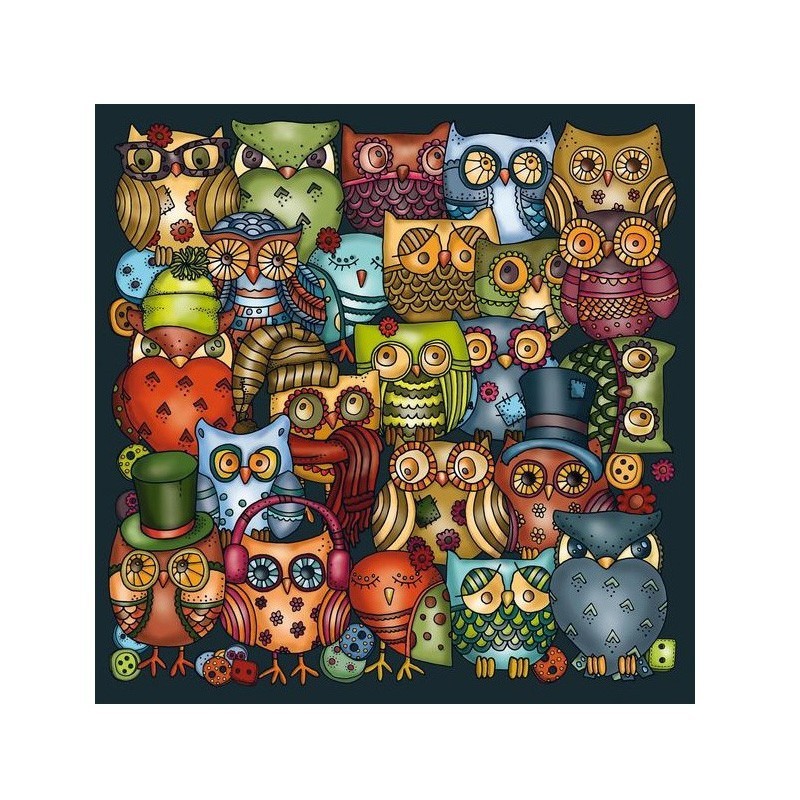 PUZZLE PALAPELLI OWL CADRE INCLUS 211 PCS OWLS