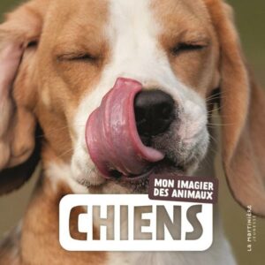 CHIENS