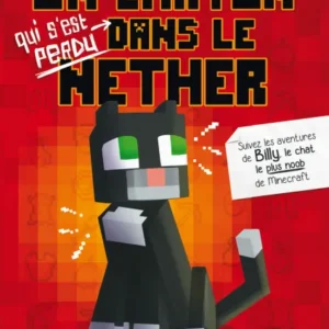 UN CHATON DANS LE NETHER