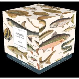 PUZZLE POISSONS 1000 PIÈCES